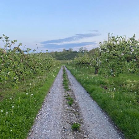 Orchard Luxe Glamping Pod Hotel Dungannon Bagian luar foto