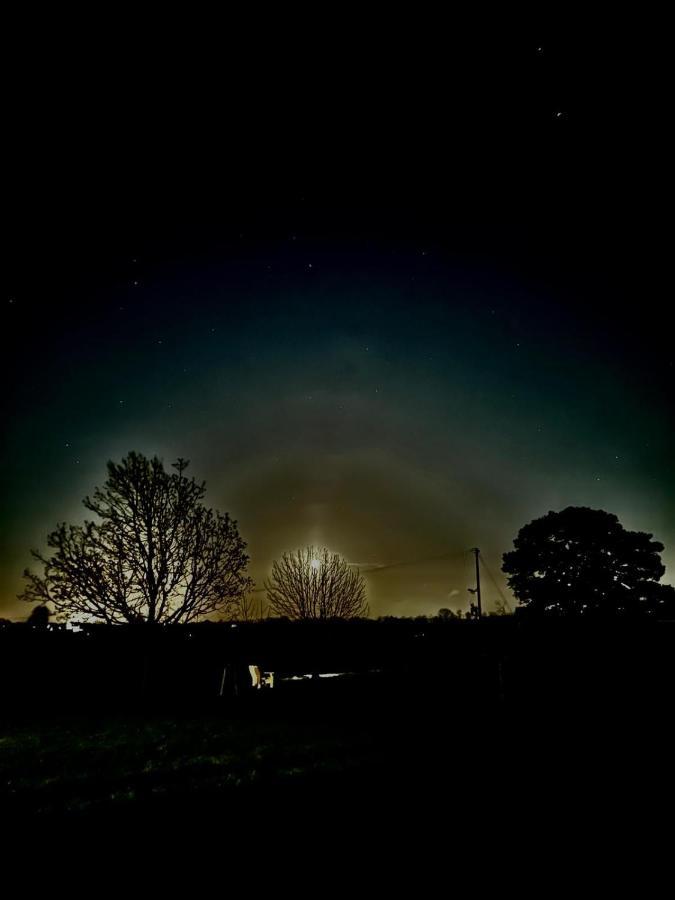 Orchard Luxe Glamping Pod Hotel Dungannon Bagian luar foto