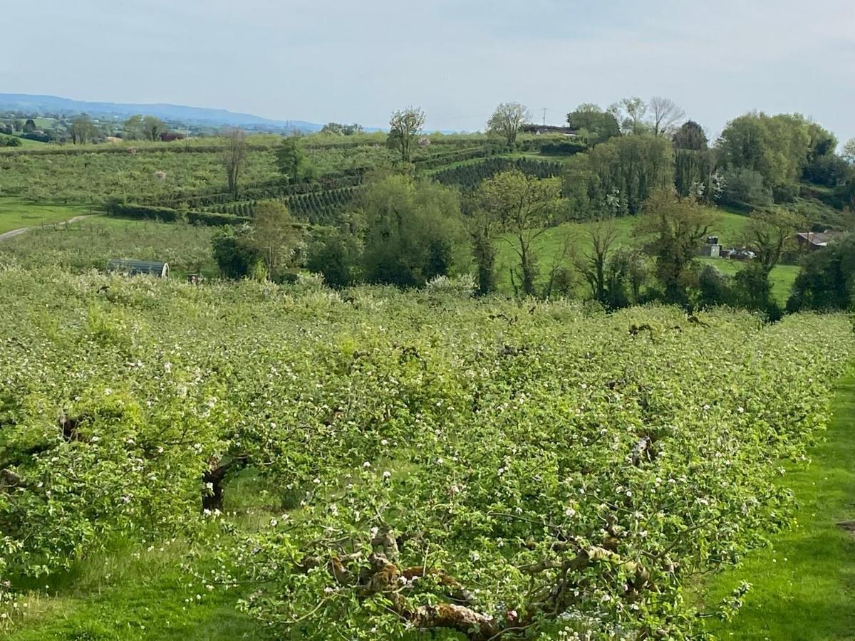 Orchard Luxe Glamping Pod Hotel Dungannon Bagian luar foto